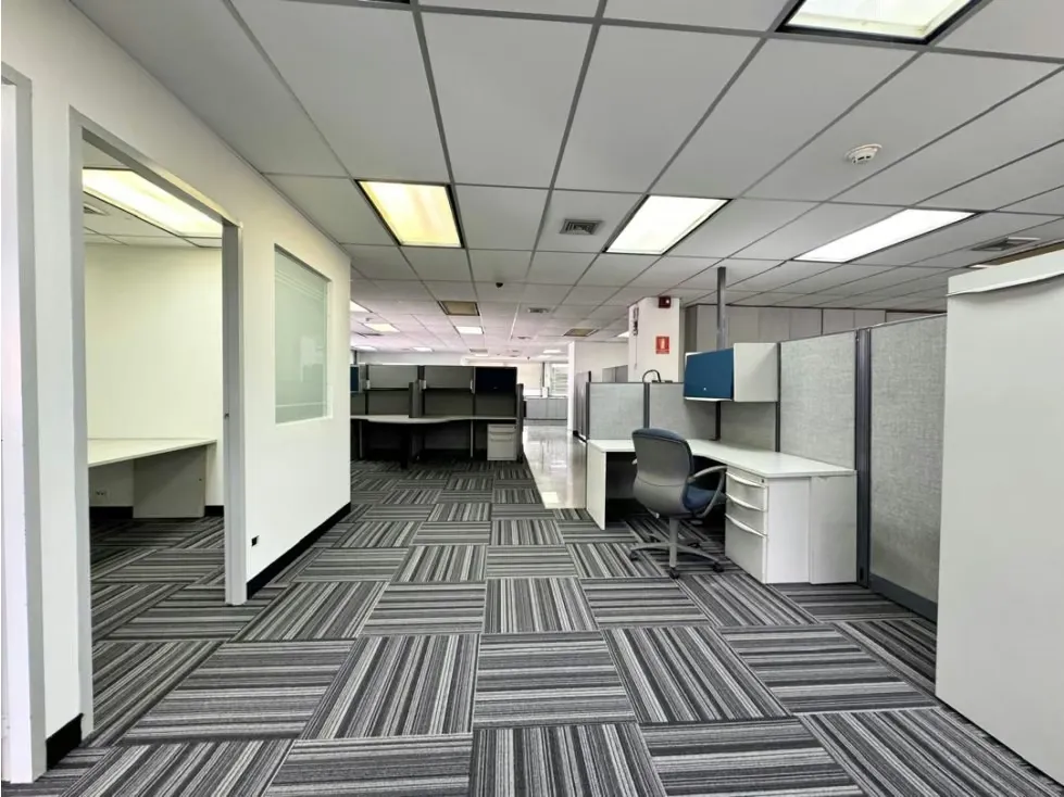 Amplia oficina en alquiler torre corporativa Los Ruices 885M2 - 19