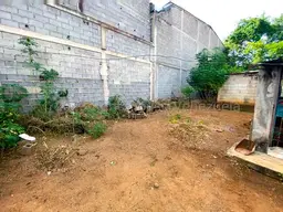 Vista 18