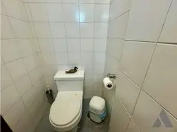 Vista 26