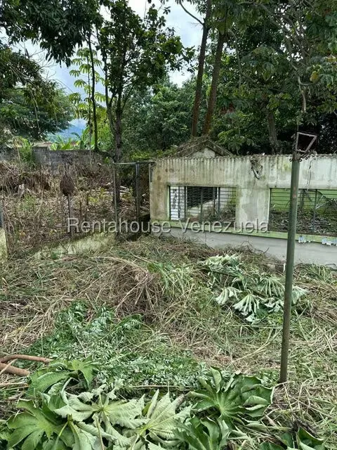 Local Comercial en Venta en San Felipe, Yaracuy - 46