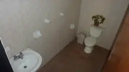 Vista 11