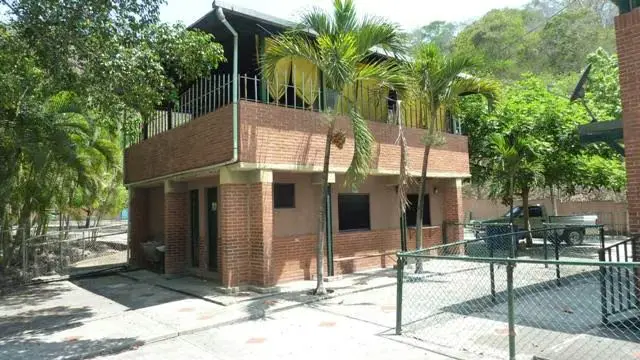 Comercial (Edificio) en Alquiler en Mampote, Miranda - 15