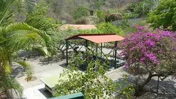 Vista 26