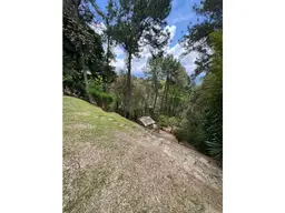 View 28