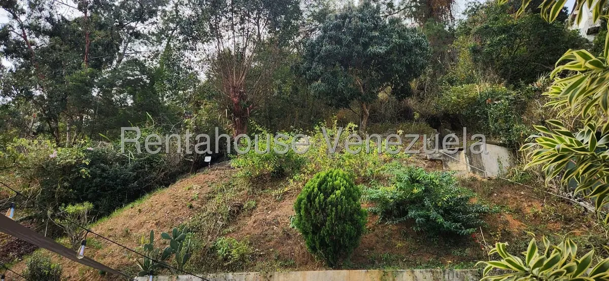 Casa (Duplex) en Venta en Alto Prado, Distrito Metropolitano - 22