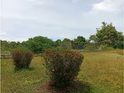 View 10