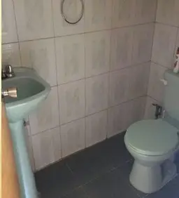 Vista 19