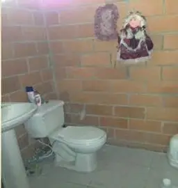 Vista 56