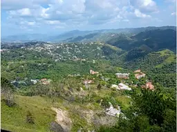 Vista 14