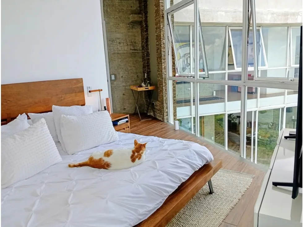 Vendo apartamento tipo loft 400m2 5hab 6b 4p Oripoto 8049 - 36