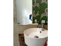 Vista 51
