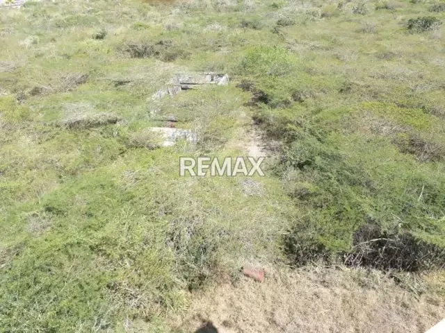 En Venta 4 Hectáreas de terrenos en la zona Zona Norte de Barquisimeto Vía El Trapiche (Eje Comercial Zona Norte).