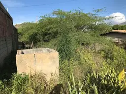 View 3