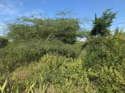 View 4