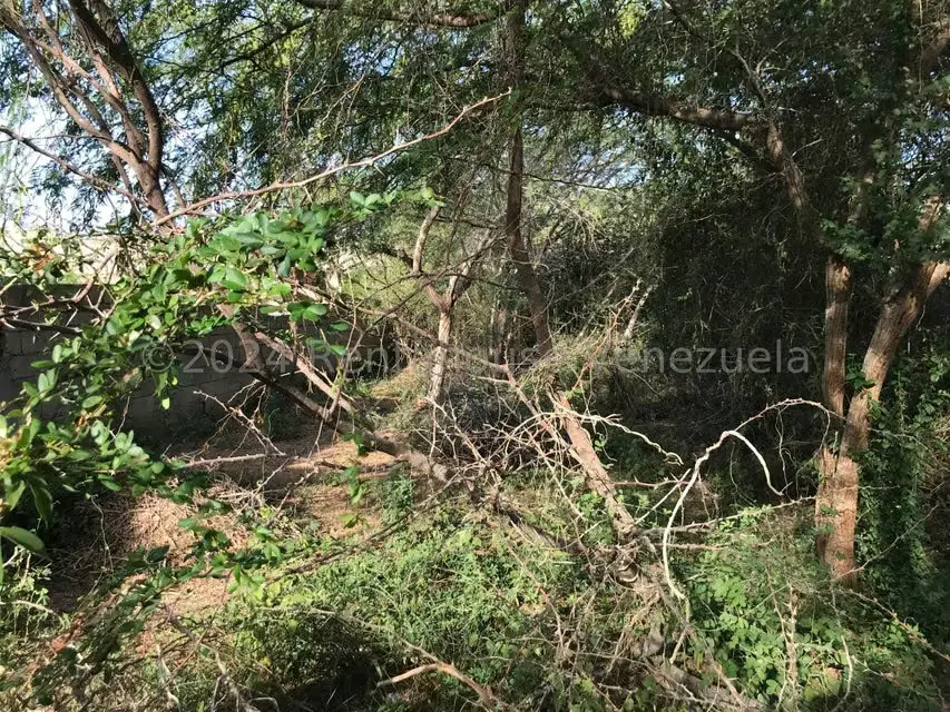 Terreno (Residencial) en Venta en Atamo Norte, Nueva Esparta - 10