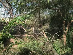 View 10