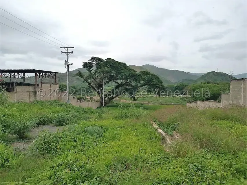 Terreno (Comercial) en Venta en Bella Vista, Aragua - 13