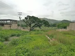 Vista 14