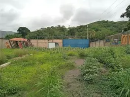 Vista 5