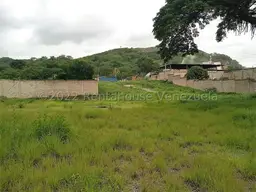 Vista 6