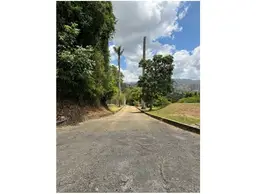Vista 18