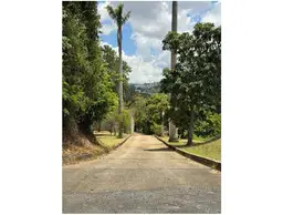 Vista 19