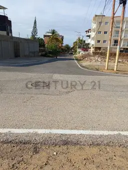 Vista 1