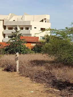 Vista 6