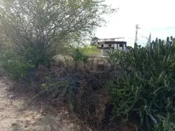 Vista 9