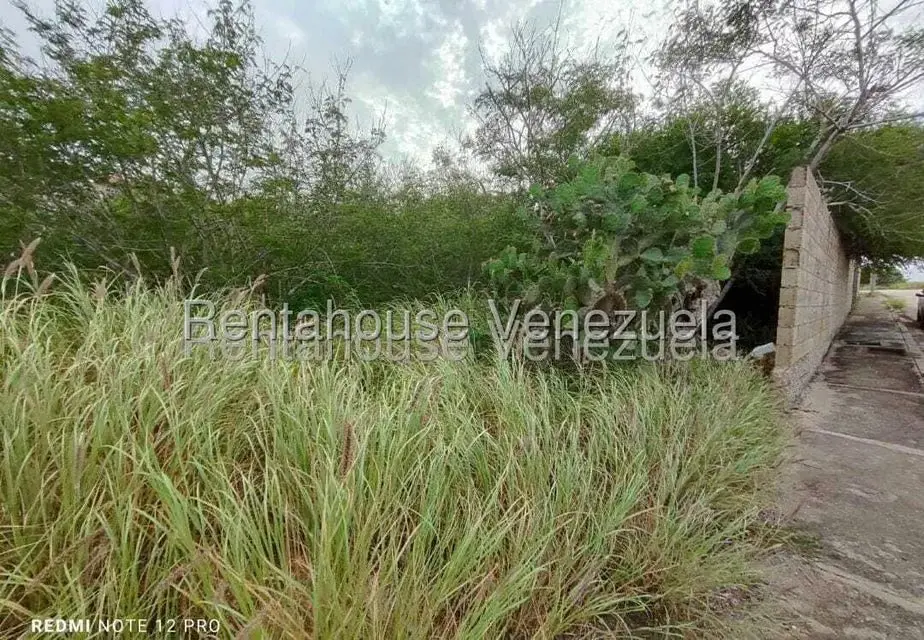 Terreno (Residencial) en Venta en Playa el Angel, Nueva Esparta - 8