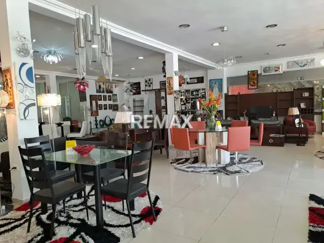 FONDO DE COMERCIO (IMPORTACION, EXPORTACION y COMERCIALIZACION DE MOBILIARIO y DECORACION ENTRE OTROS) - 2