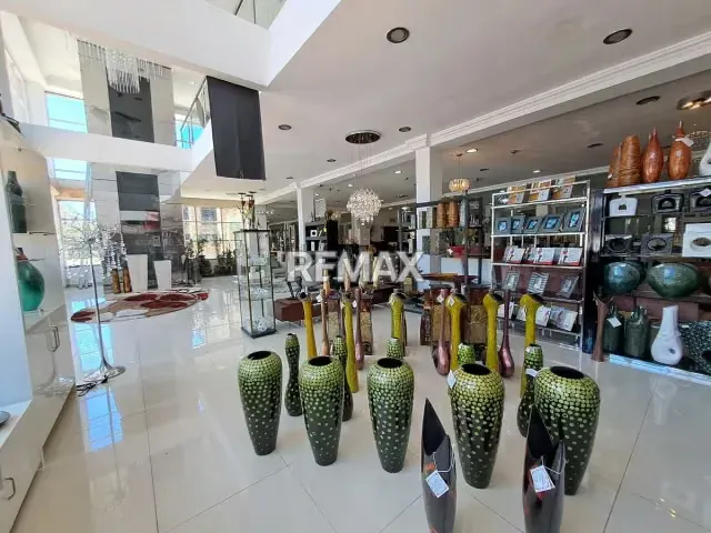FONDO DE COMERCIO (IMPORTACION, EXPORTACION y COMERCIALIZACION DE MOBILIARIO y DECORACION ENTRE OTROS) - 4