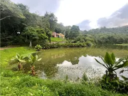 Vista 1