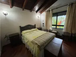 Vista 36