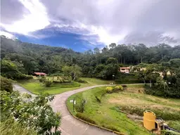 Vista 41