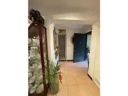 Vista 6