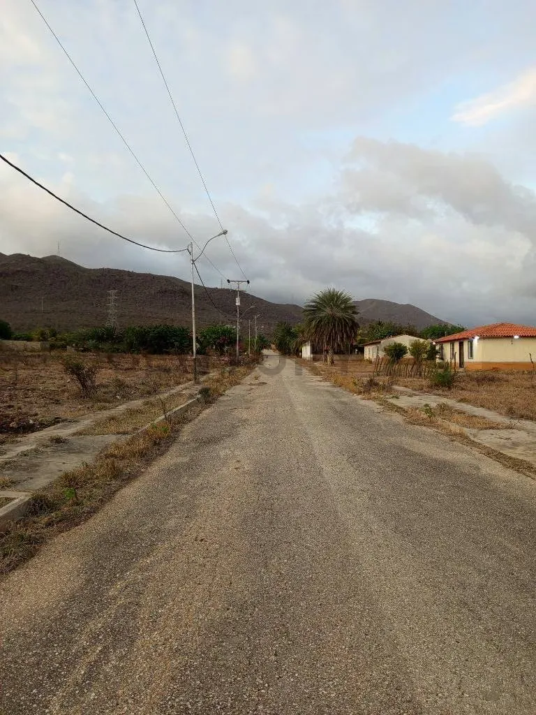 Terreno para desarrollo Campestre, El Datil, Isla de Margarita - 11