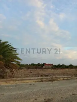 View 12