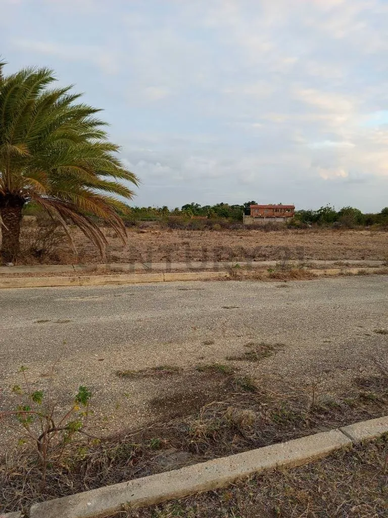 Terreno para desarrollo Campestre, El Datil, Isla de Margarita - 13