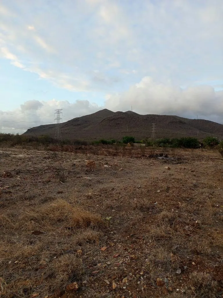 Terreno para desarrollo Campestre, El Datil, Isla de Margarita - 3