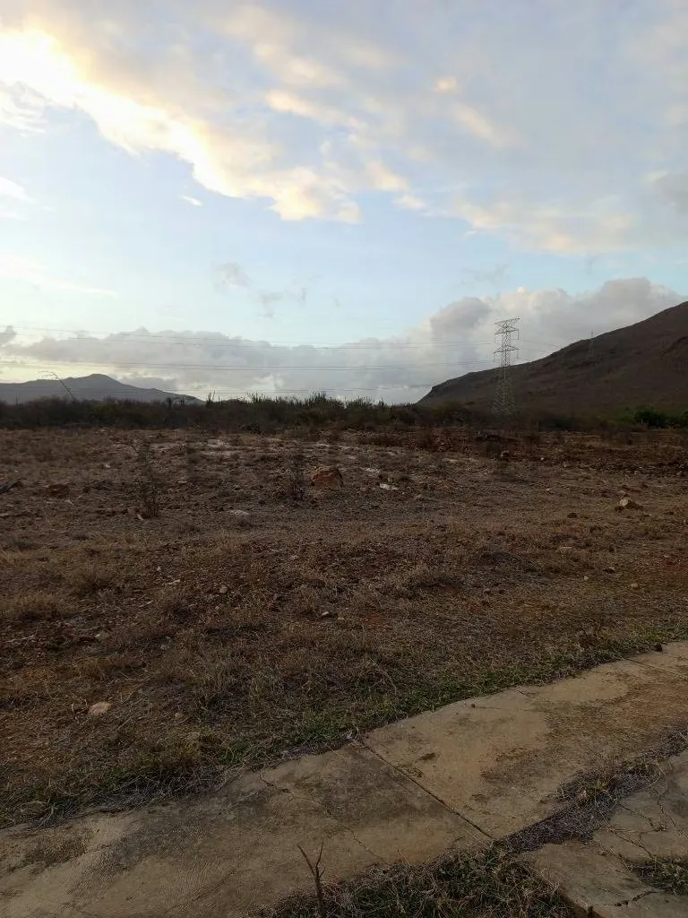 Terreno para desarrollo Campestre, El Datil, Isla de Margarita - 4