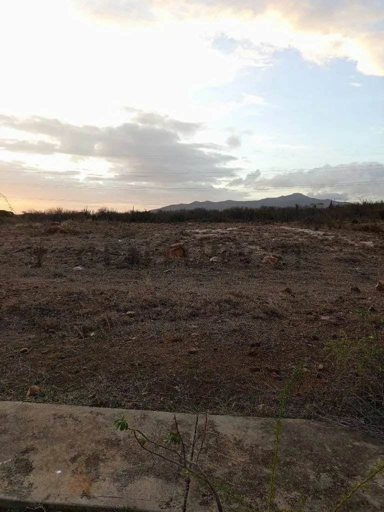 Terreno para desarrollo Campestre, El Datil, Isla de Margarita - 5