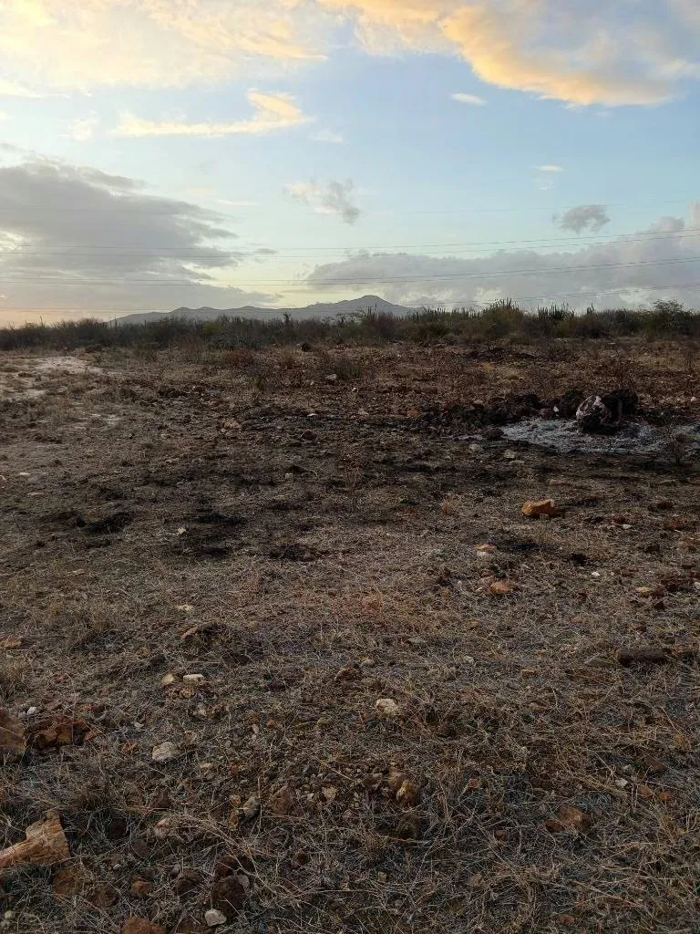 Terreno para desarrollo Campestre, El Datil, Isla de Margarita - 6