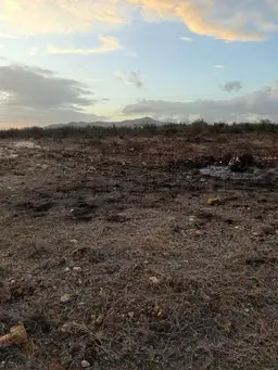 View 6