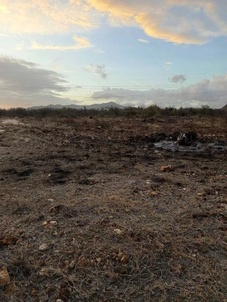 Terreno para desarrollo Campestre, El Datil, Isla de Margarita - 7