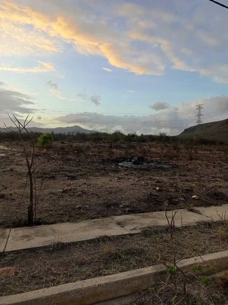 Terreno para desarrollo Campestre, El Datil, Isla de Margarita - 9