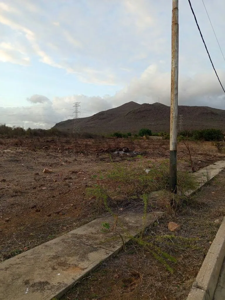 Terreno para desarrollo Campestre, El Datil, Isla de Margarita - 10