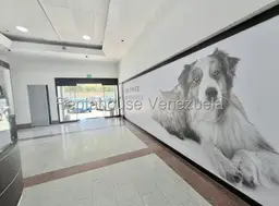 Vista 25