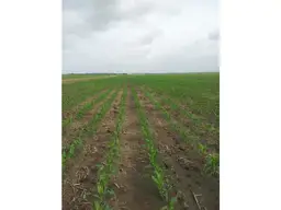 Vista 3