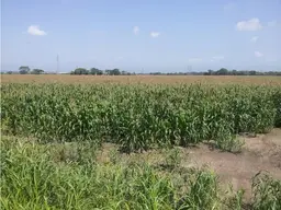 Vista 6